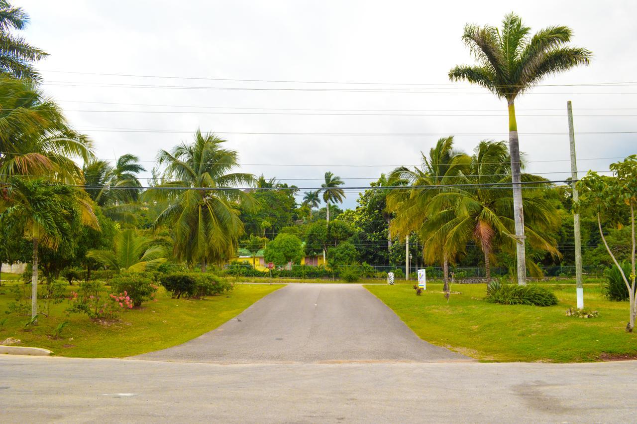 Sahara dela Mer Inn Montego Bay Exterior foto